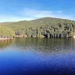 El Pinsapo