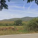 El Pinsapo Segovia