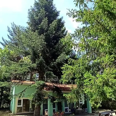 El Pinsapo * Segovia