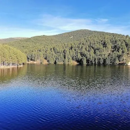El Pinsapo
