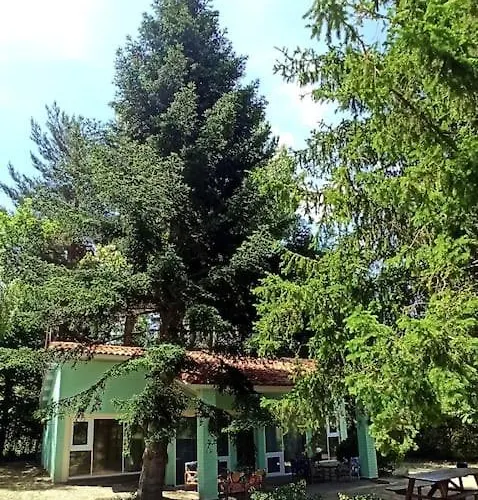 El Pinsapo * Segovia